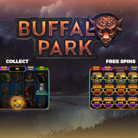 R Franco Digital Embraces Buffalo Park’s Wildness