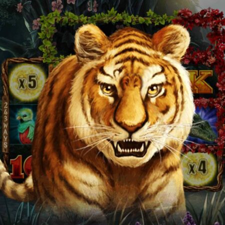 Swintt & Samurai Studio go wild in Lightning Jungle Hold the Cash