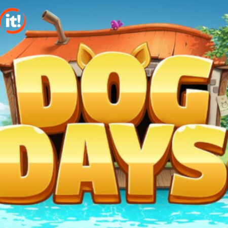 Nailed It! Dog Days launched exclusively by leading operators