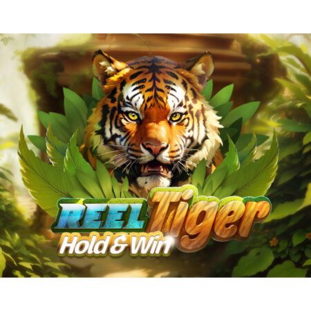 NEW GAME RELEASE – ‘REEL TIGER’ NOW AVAILABLE