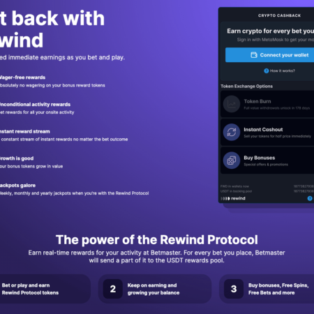 Rewind Protocol: Revolutionizing Loyalty Reward in Crypto Space