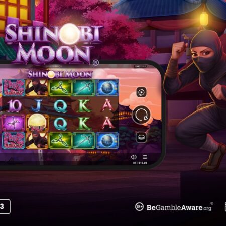 Shinobi Moon, the action-packed ninja game from Realistic Games, sharpens its swords