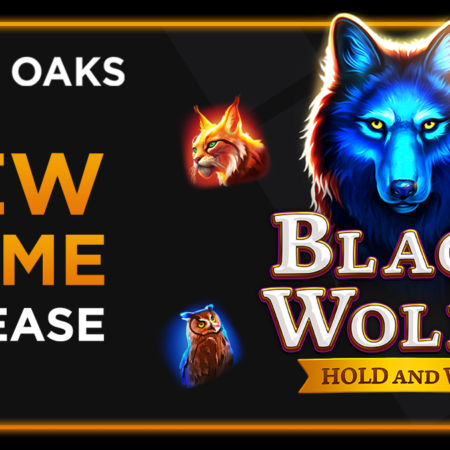 Black Wolf 2 by 3 Oaks Gaming is a thrilling adventure.